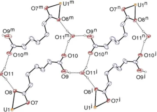 Figure 9. Hydrogen bonding network involving HC7 –  ligands and water molecules in compound 8