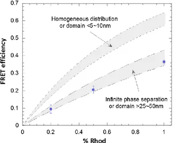 Figure  8.  FRET  efficiencies  vs.  content  (mol  %)  of  lipid- lipid-labeled  acceptor  for  PEO 8 -b-PDMS 22 -b-PEO 8 /DPPC  (79/21  w/w%)  mixtures  at  46  °C