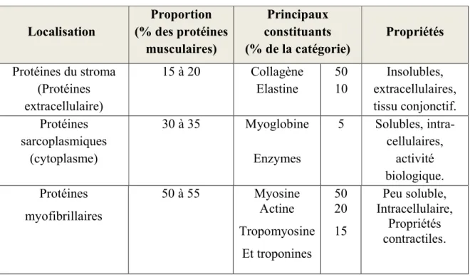 Tableau 02 : Les Protéines Musculaires (Charles alais et al. 2004)         Localisation   Proportion  (% des protéines    musculaires)  Principaux            constituants (% de la catégorie)  Propriétés  Protéines du stroma  (Protéines  extracellulaire)  1