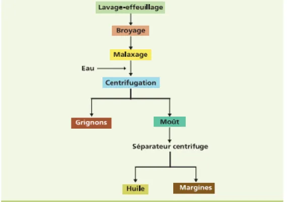 Figure N° 07 : Procédé d’extraction de l’huile d’olive par centrifugation à trois phases