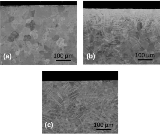 Figure 1 - Cross-section SEM images of (a) US, (b) SP and (c) LSP samples before exposition to high temperature