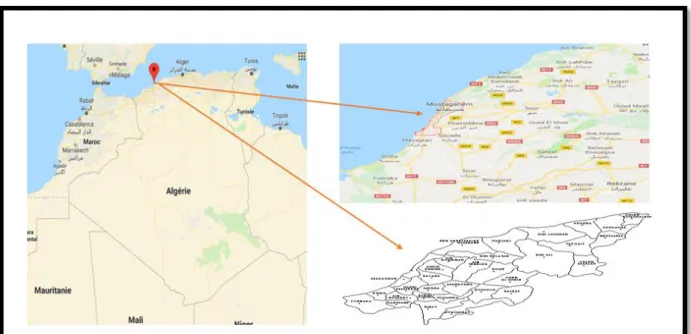 Figure 2: localisation de la wilaya de Mostaganem (Google earth)  b.  Port aux poulet : 