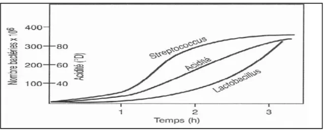 Figure 12:schéma de croissance relative des bactéries du yaourt (Philippe, 2010).