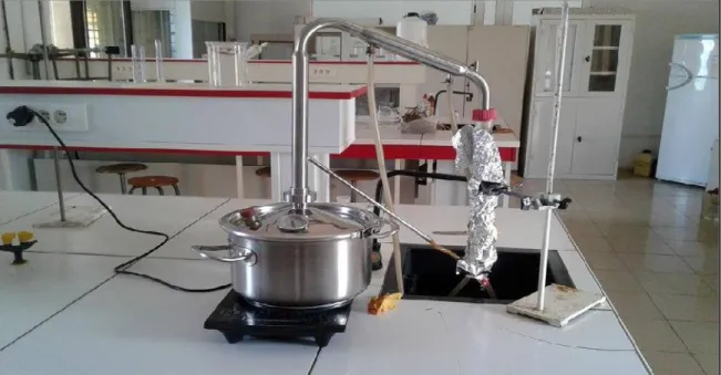 Figure 14: Appareillage utilisé  pendant  la distillation  d’huile  essentielle  (laboratoire  de Biochimie N°01 au niveau de faculté SNV université Abdelhamid Ibn Badis Mostaganem).