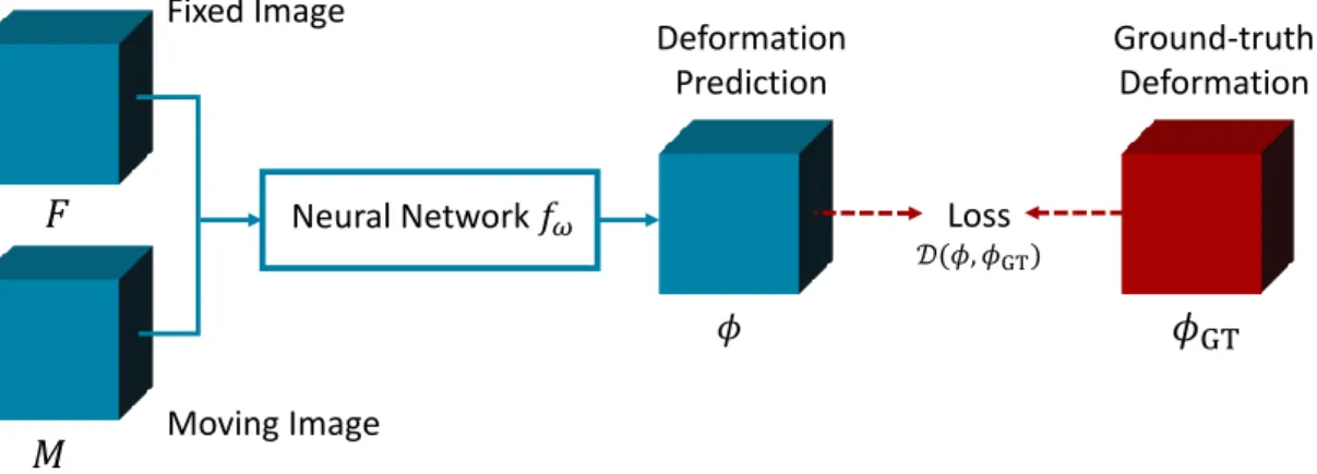 Fig. 2.2: The supervised end-to-end registration model. During training, the known deformation field φ GT of an image pair (F, M) is regressed (red arrows).