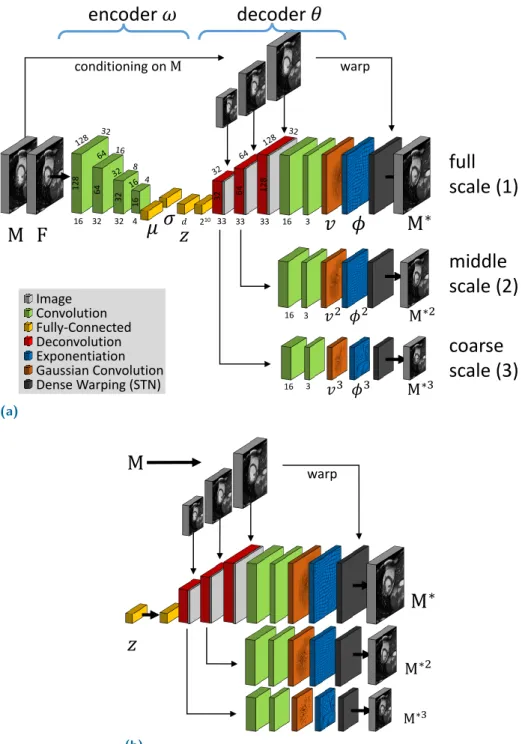 Fig. 4.2: (a) Probabilistic multi-scale registration network based on a CVAE. An encoder maps deformations to latent variables z ∈ R d (with for example d = 32) from which a decoder extracts velocities and diffeomorphisms at different scales while being co