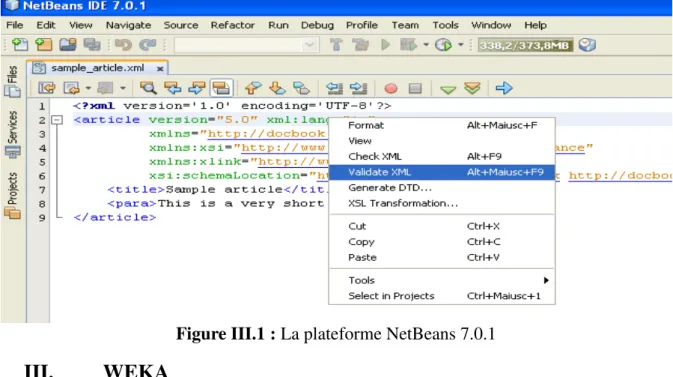 Figure III.1 : La plateforme NetBeans 7.0.1