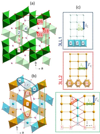 FIG. 1. (color online) : (a) Representation of the vonsenite Fe 3 BO 5 structure (projected along the c direction),  highlight-ing the FeO 6 octahedra sharing edges and corners to build five octahedra long and three octahedra wide zig-zag walls (dark and l