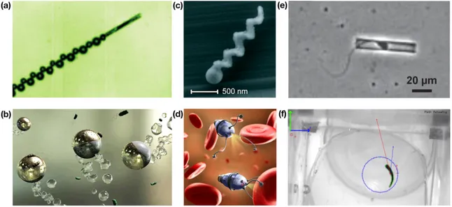 Figure 1.2 – Quelques exemples et illustrations de micro-robots nageurs. (a) Robot chimique propulsé par production de bulles de gaz [SMBU + 09]