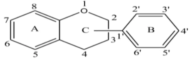 Figure 10 : Structure de base des flavonoïdes [71] 