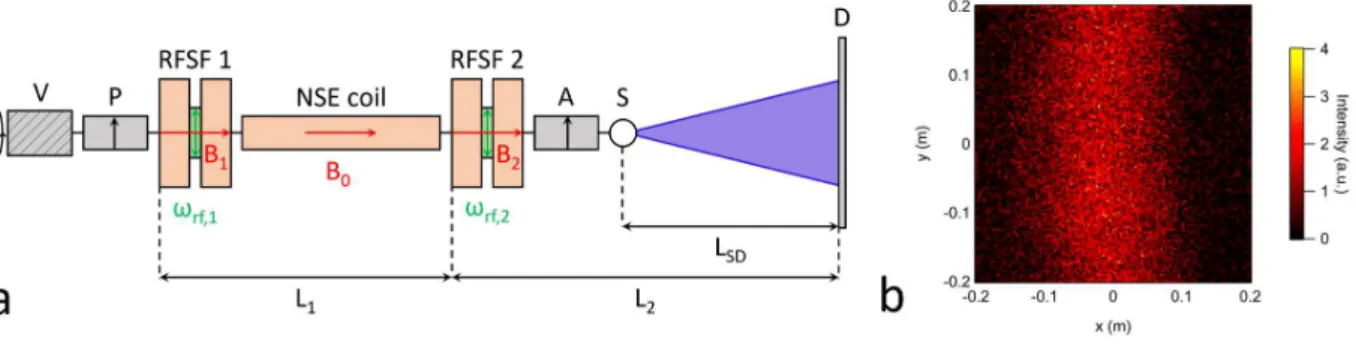 FIG. 2: (a) Schematical MIEZE setup as implemented at RESEDA. Neutrons are coarsely monochromated by a helical velocity selector (V) and are traversing the instrument from left to right