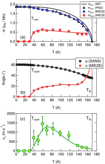 FIG. 2. (a) Normalized intermediate scattering function S norm (Q h , ω ) measured using MIEZE spectroscopy at the helimagnetic wave-vector Q h around zero energy transfer
