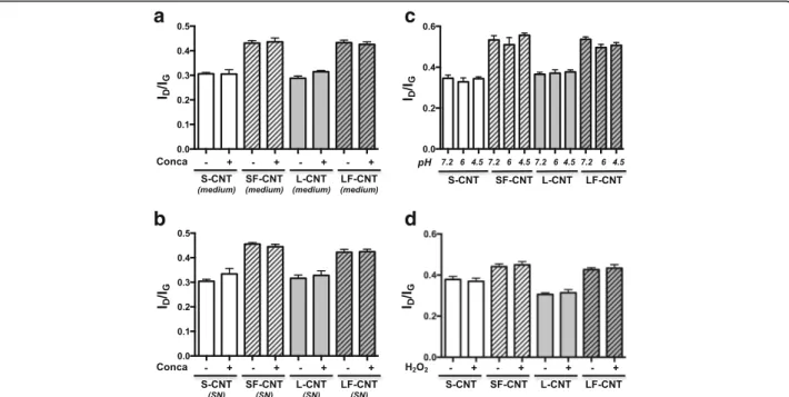 Fig. 8 Raman spectroscopy analysis of CNT incubated in media presenting various acidity