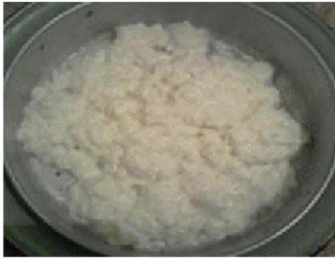 Figure 02 : Fromage Michouna  