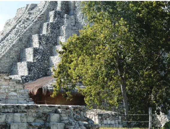 Figura 9. Castillo de  Mayapan con la boca del  cenote en la base (foto  M.C. Arnauld).