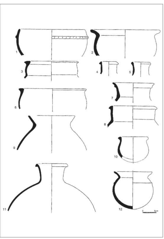 Figura 11. El Morro: principales formas de la cerámica del nivel superior (fase Morro).