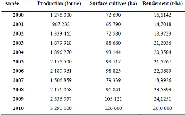 Tableau 5 : Evolution de la production de pommes de terre de  consommation 2000-2010 (MADR, 2011) 