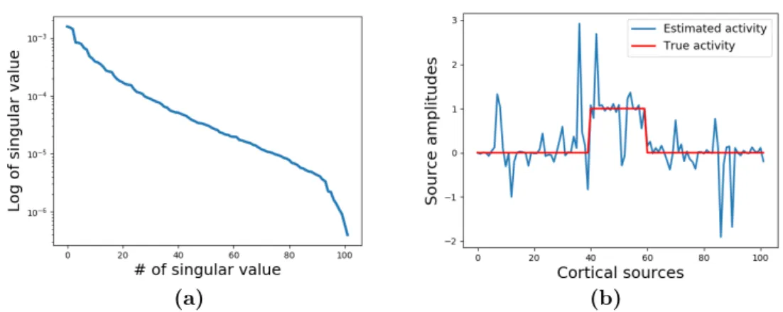 Figure 3.2: (a) Singular values of a randomly selected 102 × 102 submatrix of the lead field