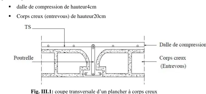 Fig. III.1: coupe transversale d’un plancher à corps creux 