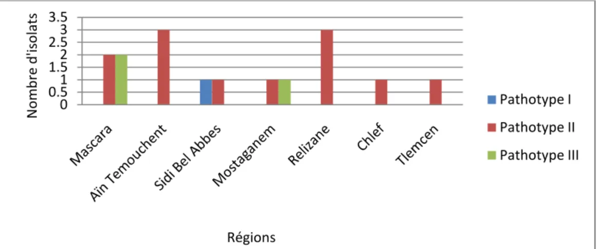 Figure 15: Distribution géographique des  pathotypes de A. rabiei dans la region du nord  ouest algérien