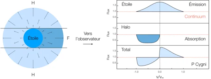 Figure 1.10 – À gauche : schéma de principe d’émission d’un vent stellaire de vitesse croissante.