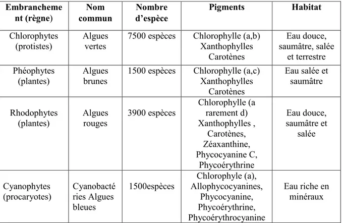 Tableau 01: Caractéristiques importantes des groupes d'algues (Géraldine et Céline, 2009)