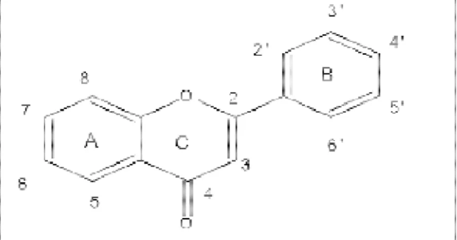 Figure 02: Structu