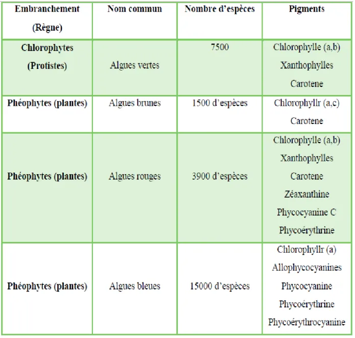 Tableau 1: Caractéristiques importantes des groupes d'algues (Géraldine et Céline, 2009)