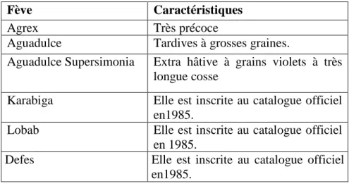 Tableau N ⁰  01 : Les variétés de fève et féverole inscrites au catalogue officiel 