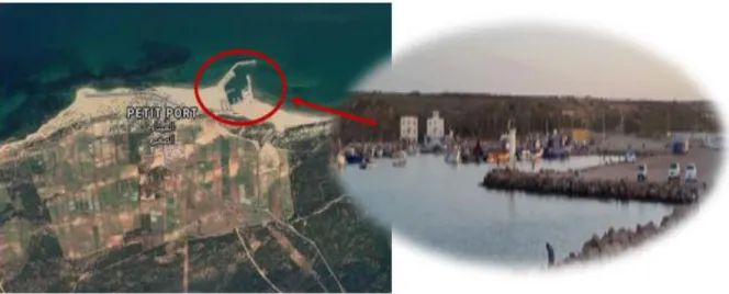 Figure 13 : Vue satellitaire et photo du port de Sidi Lakhdar (Google earth, 2020). 