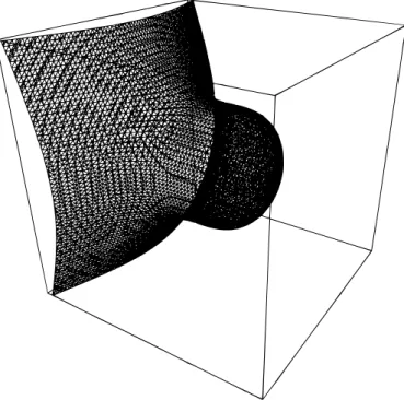 Figure 2.10: An implicit surface.