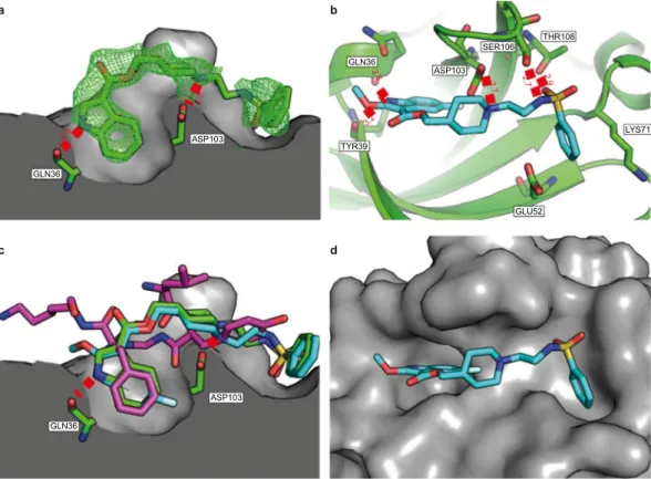 Figure 3.  The crystal structures of 4 and 6 bound to CK2 α . (a) The structure of 4 (green, pdb:6FVF) bound  to the interface site of CK2 α 