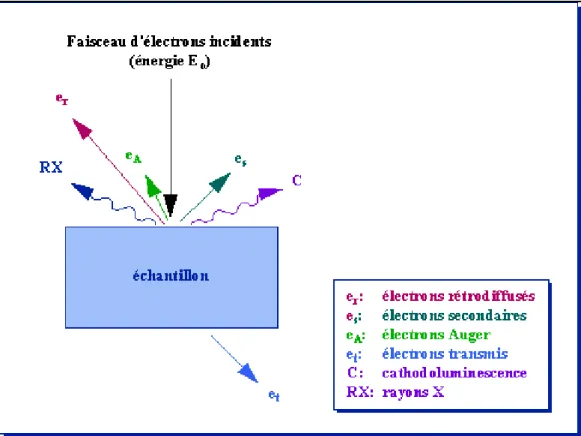 Figure  17.  Représentation  de  l'interaction  entre  un  faisceau  d'électrons  et  la  surface  d'un  échantillon en MEB