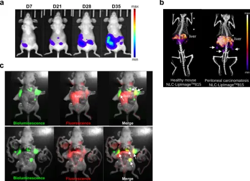 Figure  6. NLC-LipImage  accumulated  in  ovarian  tumor  nodules  after  intravenous  administration