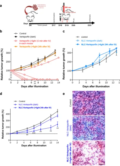 Figure  5.  NLC-verteporfin  improved  PDT  after  intravenous  administration  in  mice  with  ovarian  cancer