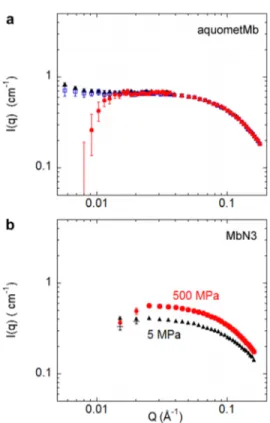 FIG. 4. Scattering intensity of myoglobin solutions at a concentration of about 20 g/l after data corrections