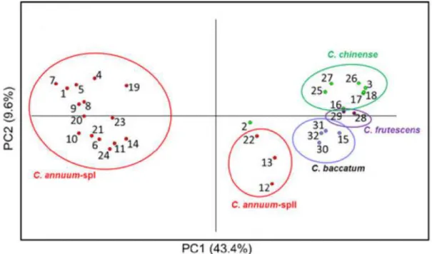Figure 16: Analyse en composantes principales : étude de quatre espèces de piment [108] 