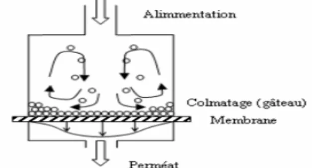 Figure II.9 . Cellule de filtration frontale  I.2.5.2. Écoulement tangentiel   