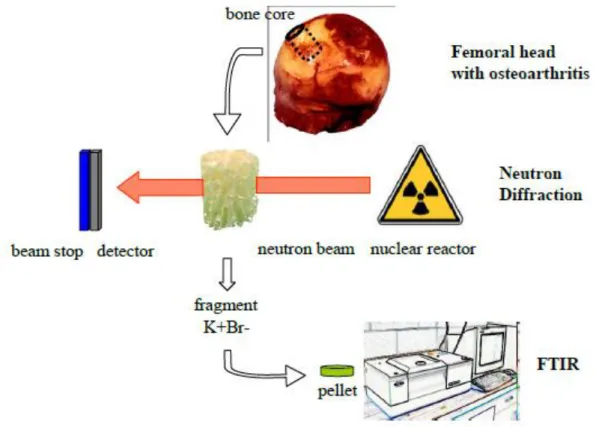 Figure 1: Details of the experimental setup for the Fourier transform infrared spectroscopy  analysis and the neutron diffraction experiment