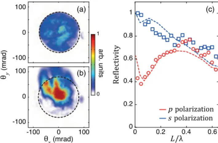 FIG. 4. Effect of the laser polarization direction on relativistic electron emission. Panels (a) and (b) show the angular profiles of the relativistic electron emission for a gradient scale length L 1 ¼ λ=15 , respectively for p and s polarizations of the 