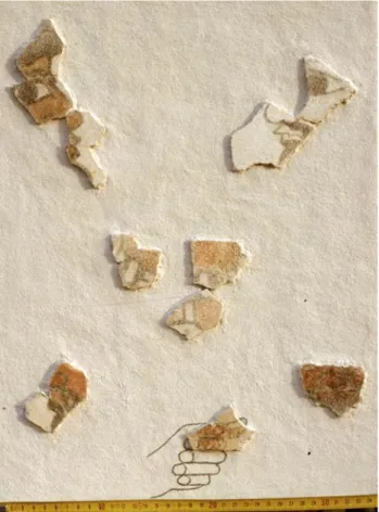 Fig. 4 - Fragments divers sur juss (restauration et panneau de  présentation réalisé pour le musée du Louvre par le CEPMR) en  particulier les profils n° 56 et 57, provenant du mur ouest de la cour  du Palmier 106 : dignitaires (?)
