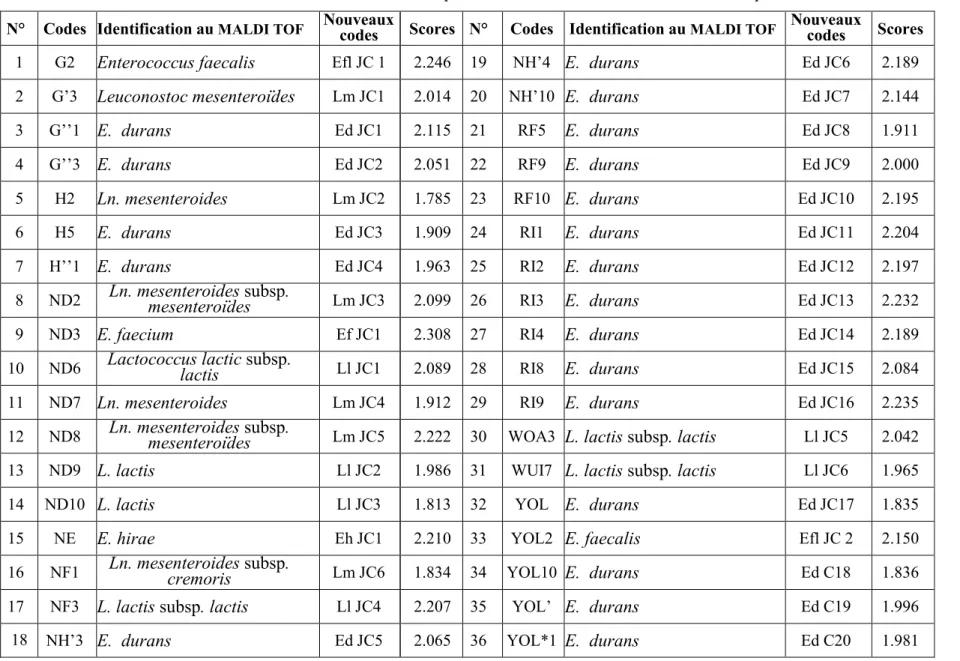 Tableau 15 : Identification des souches isolées par MALDI-TOF/MS avec le score de chaque souche