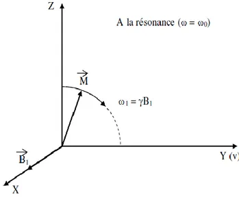 Figure 1.7:Basculement de l’aimantation 