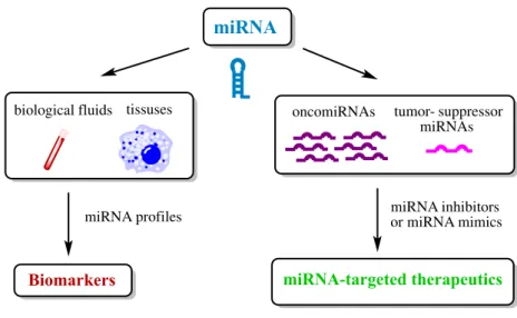 Figure 1.7. Application of miRNAs in cancer diagnosis and therapeutics. 