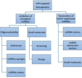 Figure 1.8. Strategies for miRNAs-based therapeutics. 