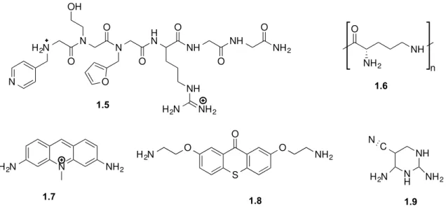 Figure 1.16. Chemical structures of small molecules identified after high-throughput screening and that  are able to interfere with Drosha or Dicer cleavage step.