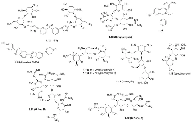 Figure 1.20. Chemical structures of RNA ligands discovered using a focused screening approach as  inhibitors of Drosha or Dicer cleavage step