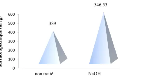 Figure 30 : Représentation graphique de la surface spécifique du charbon actif de Riedel de  Haên
