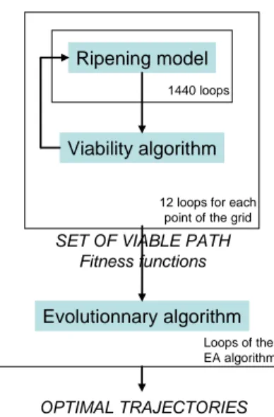Figure 1. Coupling of a viability algorithm and an evolutionary algorithm as to calculate optimal viable path  for a cheese ripening process 