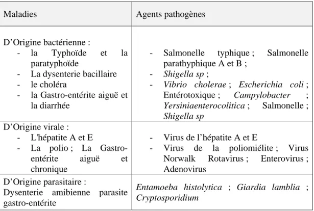 Tableau 2: Maladies provoqués par les micro-organismes contaminants l’eau  (Manuel Pratique d’Analyse de l’Eau)(Rodier , 2009)